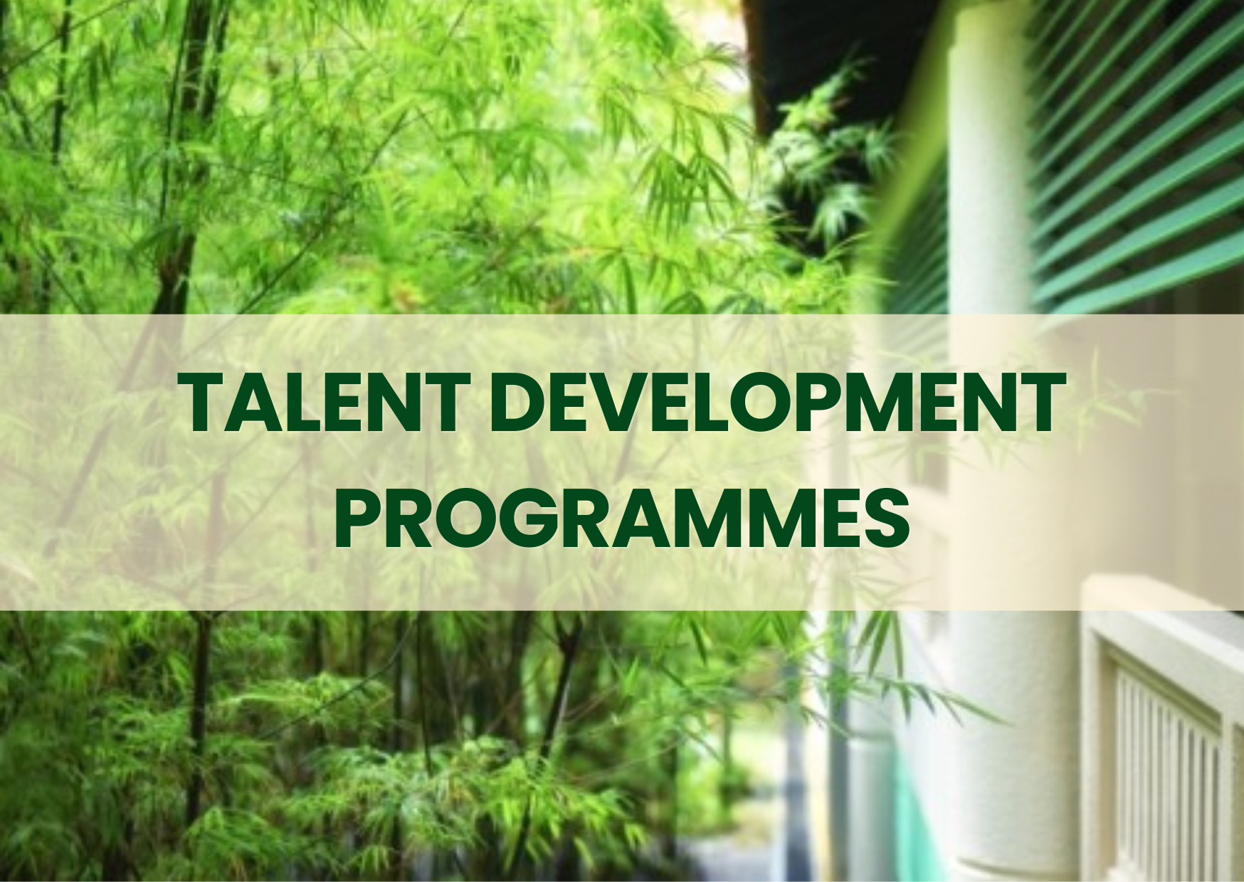 Talent Development Programmes